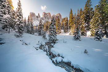 Winter, Nature, Trees, Snow, Mountain, Creek, Brook HD wallpaper