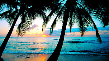 beach | Backgrounds for . HD wallpaper