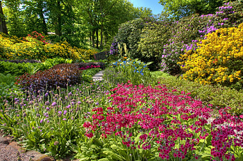 Nature, Flowers, Bush, Colors, Color, Garden, Assorted, Abundance, Flower Beds HD wallpaper
