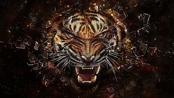 Animals, Tigers HD wallpaper