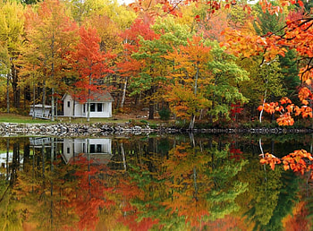 Lake, reflection, house, autumn, nature HD wallpaper