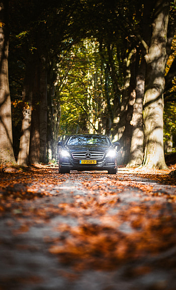 Cars, Shine, Light, Road, Car, Mercedes HD phone wallpaper