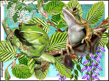 FROGS ON BRANCHES, FROGS, COLLAGE, , ABSTRACT HD wallpaper