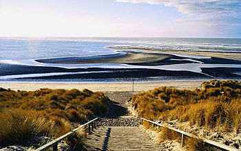 STEP DOWN TO OCEAN, stairs, stairway, steps, grass, ocean HD wallpaper