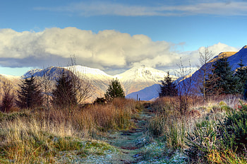 Nature, Trees, Grass, Mountains, Snow, Vertex, Frost, Hoarfrost, Tops, Ate, Snowy HD wallpaper