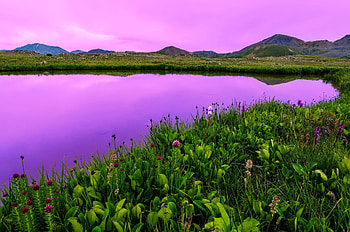 Sky reflections, water, lake, pond, reflections, meadow, beautiful, grass, serenity, wildflowers, pink, field, sky HD wallpaper