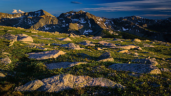 Rocky meadow in the Rocky Mountains, Colorado, trees, sky, rocks, usa, landscape HD wallpaper