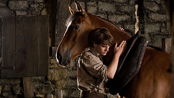 War Horse, Courageous stallion, World War I, Heart-rending story HD wallpaper