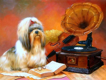 Dog and Music, love four seasons, book, music, animals, dogs, glasses, draw and paint, paintings HD wallpaper