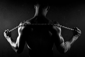 Fitness, High-definition , Ultra fitness, backgrounds HD wallpaper