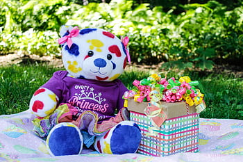 Colorful teddy bear with a wrapped gift box outdoors on a sunny day. HD wallpaper