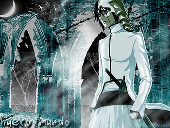 Ulquiorra I'm the foruth, espada, ulquiorra, bleach, anime HD wallpaper