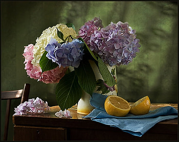 Still Life, blue, table, white, vase, beautiful, pink, lemon, fruit, flowers HD wallpaper
