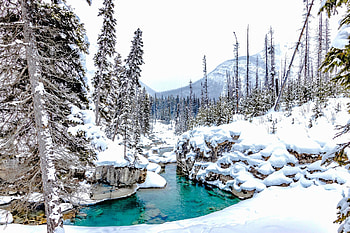 Winter Scene, trees, creek, nature, snow HD wallpaper