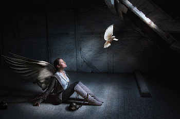 Angel longing for dom, FREDOM, WOMAN, CHAIN, MODEL, ANGEL, DOVE HD wallpaper