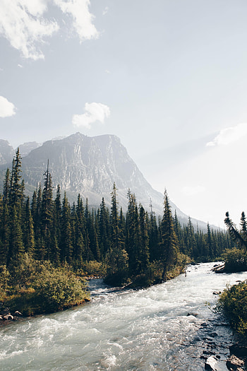 Nature, Rivers, Trees, Mountains, Forest, Flow, Stream, Ate HD phone wallpaper