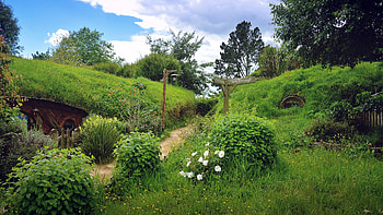 The Shire, New Zealand, Ultra , Breathtaking scenery HD wallpaper