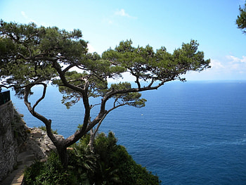 Landscape, Trees, Sea HD wallpaper