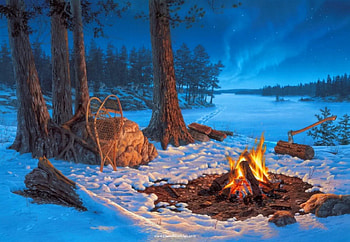 Winter picnic, winter, night, peaceful, serenity, nice, mist, quiet, snowflakes, snow, snowy, beautiful, pretty, nature, fire, lovely, calmness, forest, evening HD wallpaper