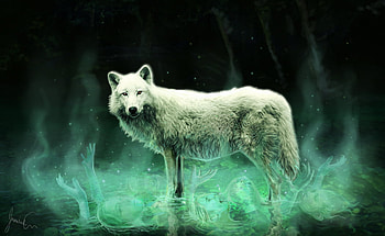 dont-fade-away, animal, dog, 3d, art, fantast, wolf HD wallpaper