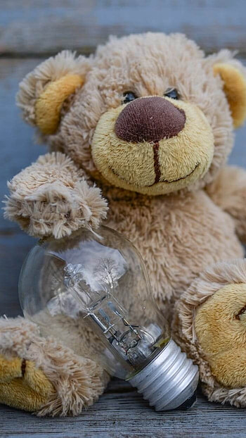 Cute Teddy Bear, Bulb, Teddy HD phone wallpaper
