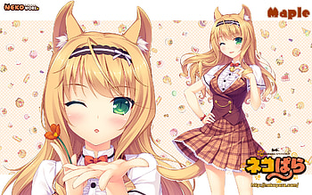 Nekopara, Maple (Nekopara), Anime HD wallpaper