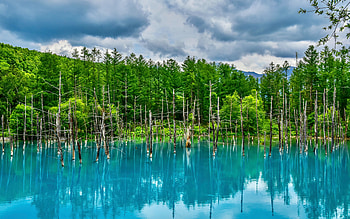 Mountain Lake Reflection, nature, reflection, lake, mountain HD wallpaper
