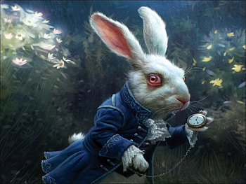 White Rabbit, Alice in Wonderland quotes HD wallpaper