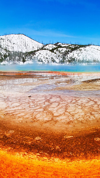 Yellowstone National Park, Nature's wonder, Majestic geysers, Untamed wilderness HD phone wallpaper