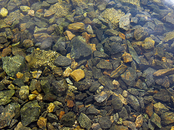 Nature, Water, Stones, Transparent, Spearhead, Prick HD wallpaper
