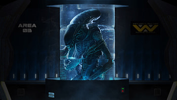 Xenomorph Aliens HD wallpaper