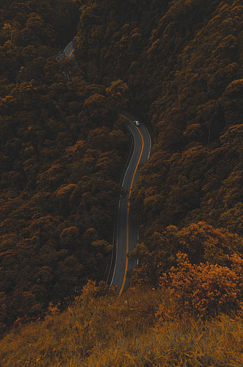 Nature, Autumn, View From Above, Road, Forest, Foliage HD phone wallpaper