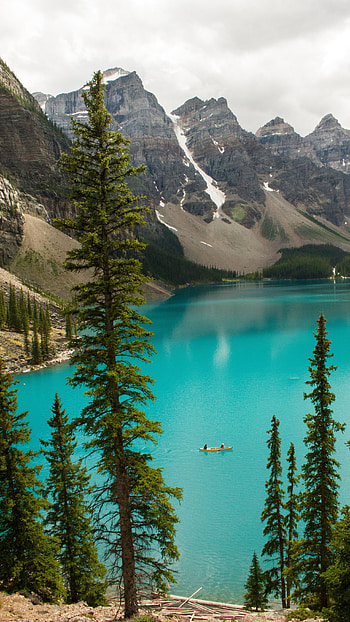 Latest, Classic Nature HD phone wallpaper