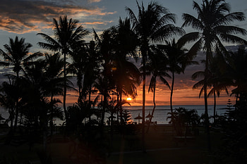 Sunset in the Tropics, nature, tropics, palm trees, sunset, beach HD wallpaper
