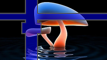 glow mushroom, psp, darkness, cg, glow, mushroom HD wallpaper