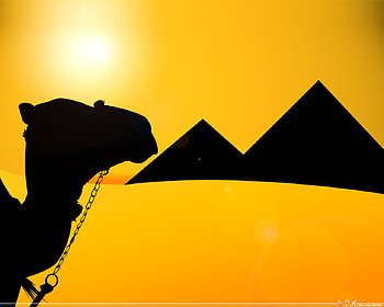 Egypt sun, sunny, hot, egypt, nice HD wallpaper