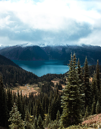 Nature, Trees, Mountains, Clouds, Fir, Spruce, Dahl, Distance HD phone wallpaper