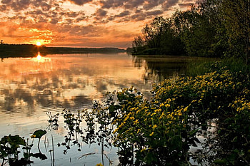 sunset reflection, wildflowers, orange sky, reflection, yellow, beautiful, greens, lake, sunset HD wallpaper