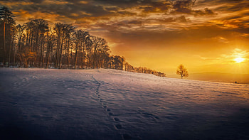 Gone away, sky, snow, clouds, steps, trees, colors HD wallpaper