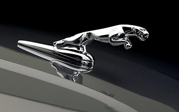 Jaguar Logo, Car Logo HD wallpaper