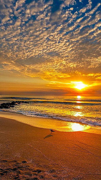 Sunset, Ocean Sunset HD phone wallpaper