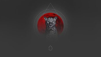 Leopard Prism Minimal , leopard, minimalism, minimalist, artist, artwork, digital-art HD wallpaper