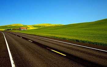 Road Along the Green Field, fields, road, graphy HD wallpaper