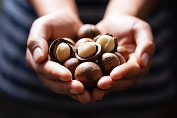 Macadamia sales, Growth opportunities, Booming crops, Market insights HD wallpaper