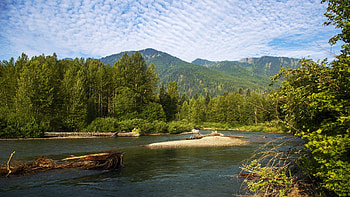 White River, Wenatchee National Forest, hills, washington, landscape, trees, clouds, sky, forest, usa HD wallpaper