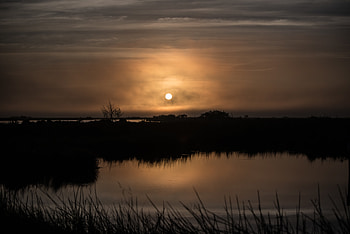 Nature, Sunset, Grass, Sun, Horizon HD wallpaper