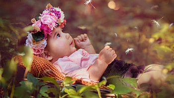 Cute Baby Girl Is Lying Down Inside Bamboo Basket Wearing Light Pink Dress Cute HD wallpaper