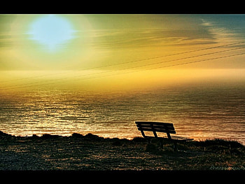 timeless.., sea, bench, timeless HD wallpaper