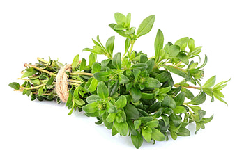Marjoram substitutes, Best substitutes, Marjoram HD wallpaper