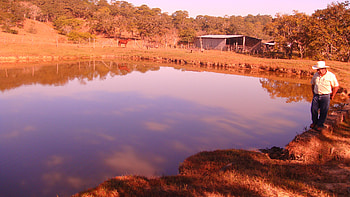 IMPRESIONANTE JAGUEY, RANCHO EL PARAISO, MPIO VILLAFLORES, CHIAPAS, MEXICO, jaguey en rancho paraiso, rumbo a villaflores, chiapas, mexico HD wallpaper